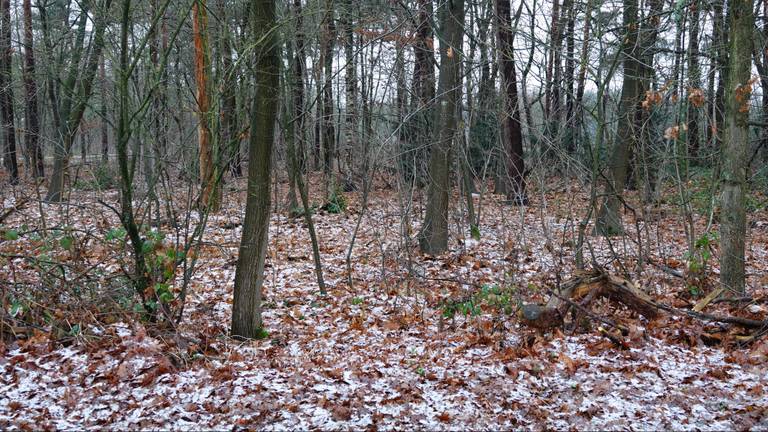 Omroep Brabant