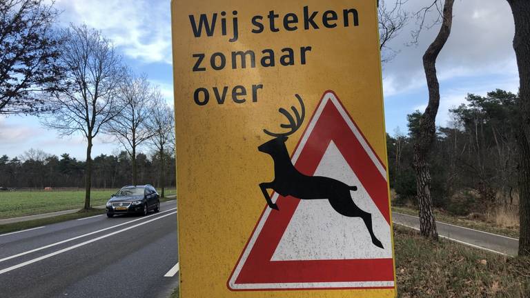 Het verkeer wordt door onder meer borden gewezen op de aanwezigheid van dieren (foto: Hans Janssen).