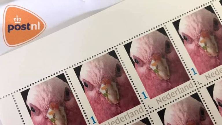 De postzegels van Pablo (foto: Jeroen Goossens).