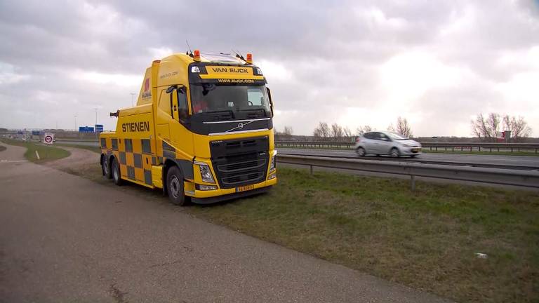 Bergers waken bij de Moerdijkbrug.