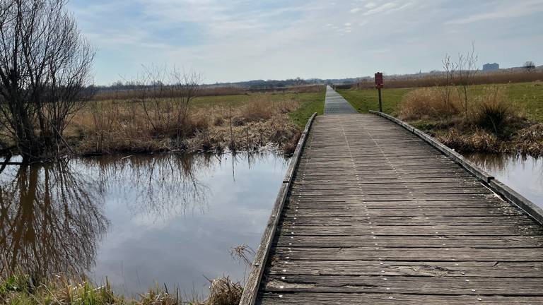 Omroep Brabant