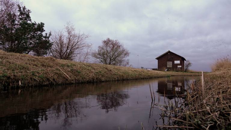 (foto: Ben Saanen)