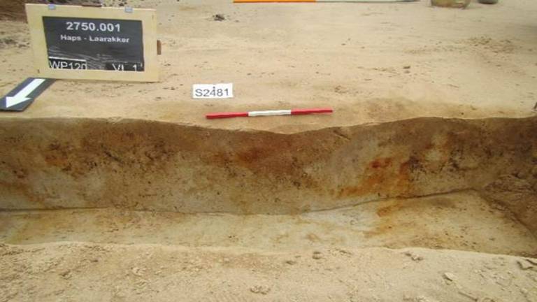 9000 jaar oude graf uit Haps (foto: Econsultancy)
