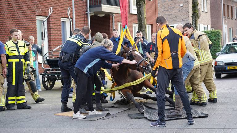 Foto: Jeroen Stuve/SQ Vision.