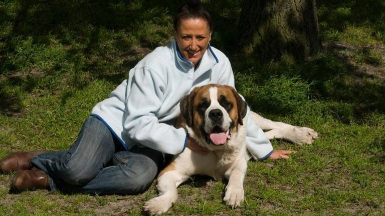 Els redde meer dan vierduizend honden van de dood.