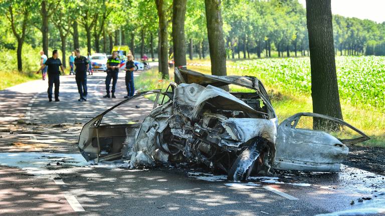 Auto vliegt in brand na botsing tegen boom, bestuurder komt om het leven