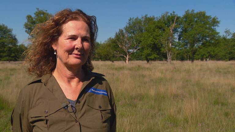 Boswachter Irma denkt dat harde maatregelen nodig zijn om de natuur te redden.