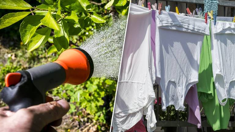 Wassen, isoleren en tuinieren: zo houd je je huis koel met de hitte 