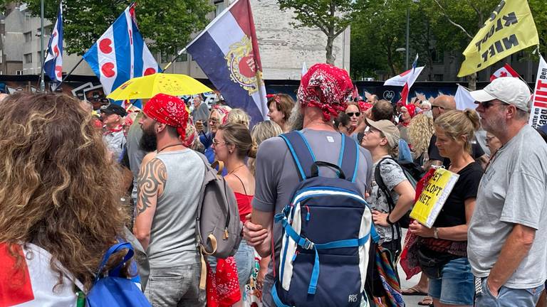 De demonstranten op het Stadhuisplein (foto: Jan Waalen).