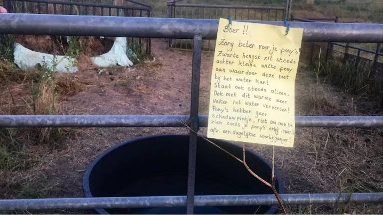 'Boer zorg beter voor je pony's', valt er te lezen bij de paardenwei (foto: Rochelle Moes - Dtv Nieuws).