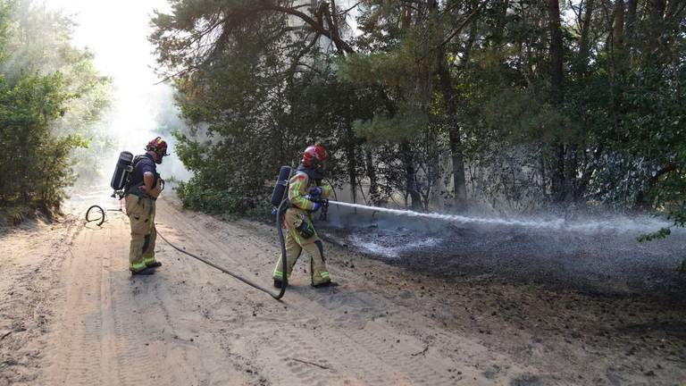De bosbrand in Soerendonk was snel onder controle (foto: SQ Vision - WdG).