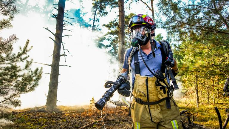 Brandweer in actie bij de bosbrand in Waalre (foto: SQ Vision).