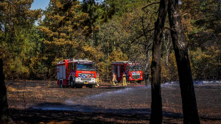 De brandweer maakte het bosgebied bij Waalre zaterdag extra goed nat (foto: SQ Vision). 