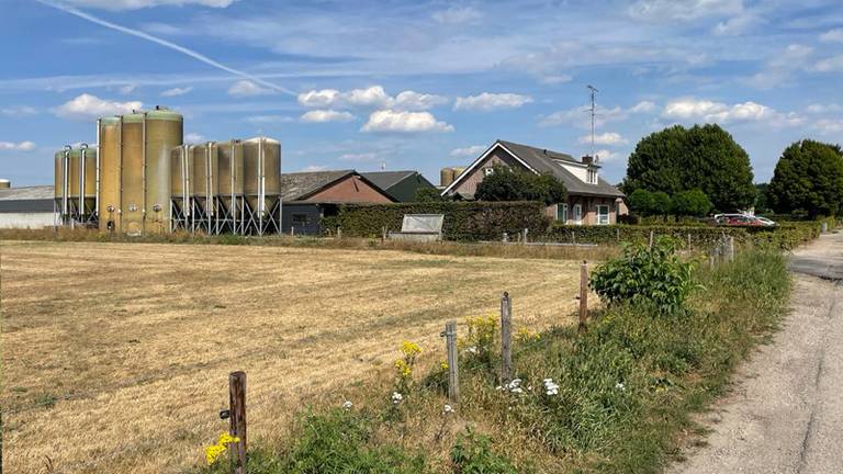 De varkenshouderij van de familie De Rooij in Heukelom (foto: Jan Waalen).