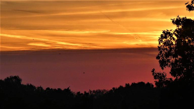 Rode zonsopkomst in Waalwijk (foto: Martha Kivits).