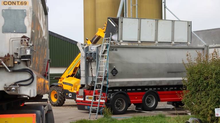 Een ruiming bij een pluimveebedrijf vanwege vogelgriep (archieffoto: ANP).