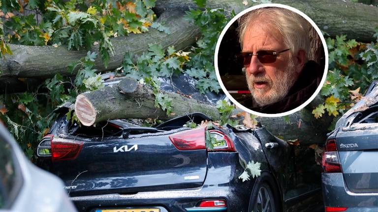 De auto van Ton Snorrewind werd bedolven onder de boom.