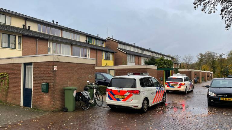 Het huis wordt bewaakt (foto: René van Hoof).