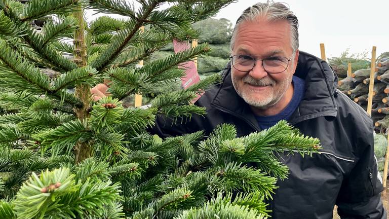 Kerstbomenhandelaar Kees Poppelaars (foto: Erik Peeters)  