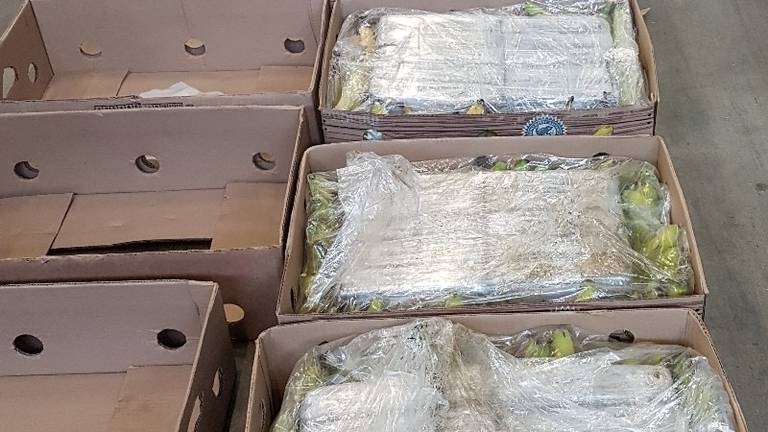 De 60 kilo coke die werd gevonden in Etten Leur en waar Zebra achter zat volgens de politie (foto: politie) 