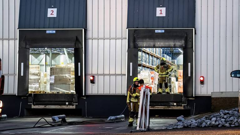 Foto: Marcel van Dorst / SQ Vision