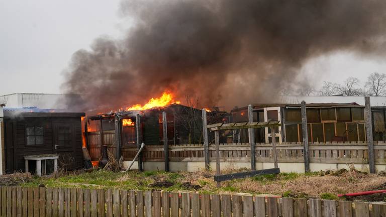 Vijf schuurtjes in brand bij volkstuinencomplex (foto: Harrie Grijseels / SQ Vision)