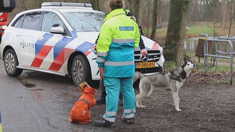 De honden maken het goed. Foto: Saskia Kusters/SQ Vision