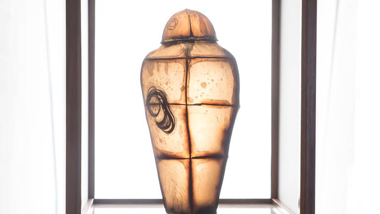 De urn gemaakt van kambucha met DNA (foto: Museum Jan Cunen)