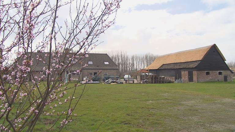 La ferme de Bart et Sanne (photo : Omroep Brabant). 