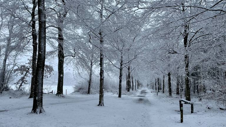 Flink wat sneeuw op landgoed Visdonk in Roosendaal. 