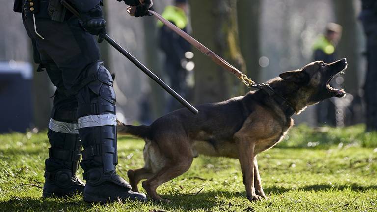 Een politiehond werd ingezet (foto: ANP/archief).