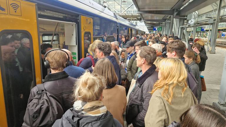 Het is druk in de trein (foto: Omroep Brabant).