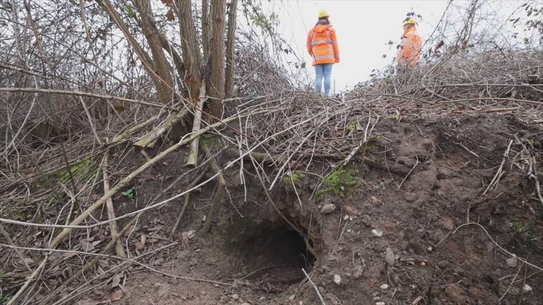 De ingang van het dassenhol in Esch (foto: Omroep Brabant).