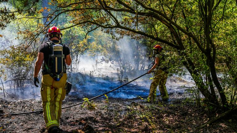 Een natuurbrand in Heeze (foto: Dave Hendriks/SQ Vision).