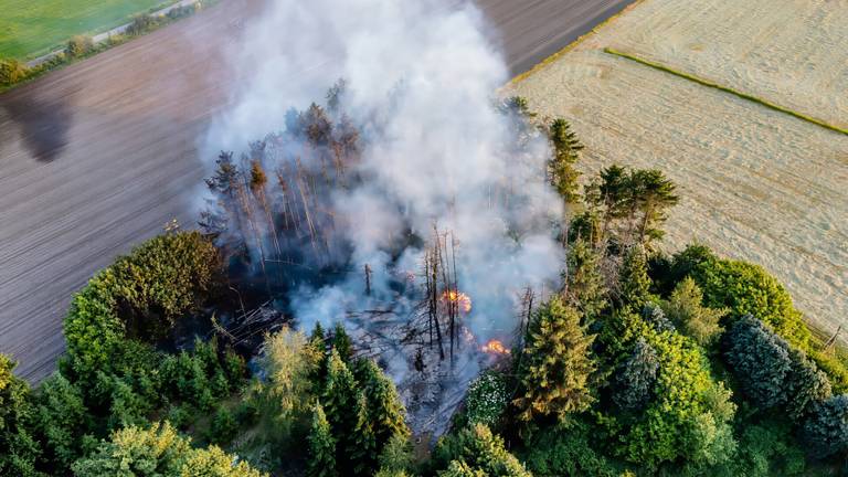 Brand in een bos in Tilburg (foto: Jack Brekelmans / SQ Vision).