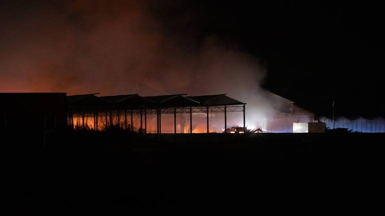 Het brandende kassencomplex (foto: Christian Traets/SQ Vision).