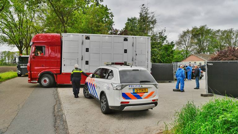 Horrorfokker Eersel opgepakt, alle honden in beslag genomen
