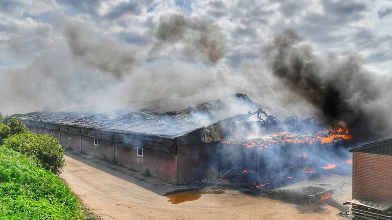 Alle drieduizend varkens dood bij grote stalbrand in Reusel