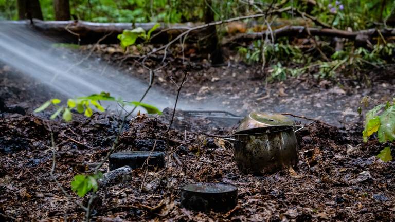 Foto: Jack Brekelmans/SQ Vision.