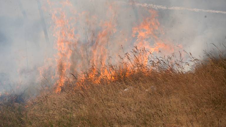 Het vuur verspreidde zich door de droogte en de wind razendsnel (foto: Gabor Heeres/SQ Vision)