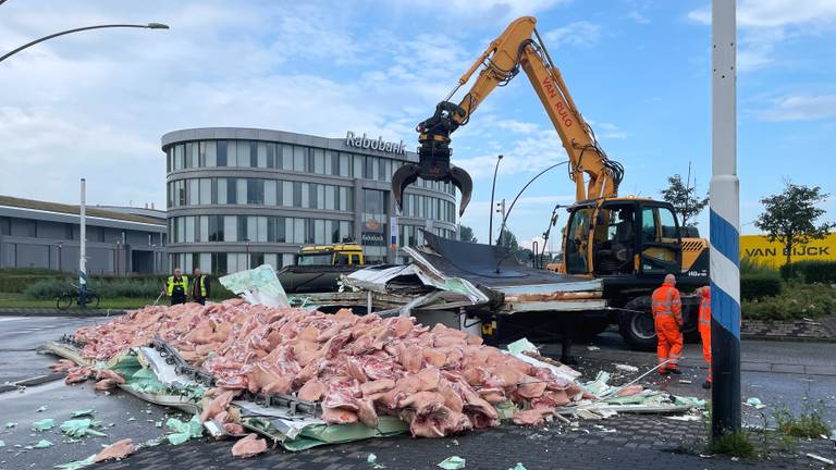 Vrachtwagen scheurt en verliest duizenden kilo's varkensvlees op rotonde