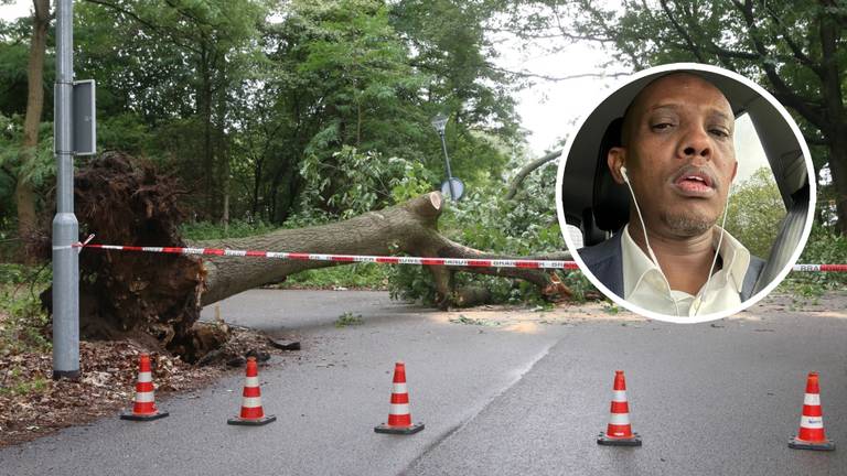 Taxichauffeur ontkomt maar net aan omvallende boom: 'Echt geluk gehad'