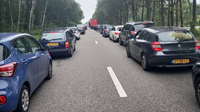 Enorme file van festivalgangers voor Decibel Outdoor