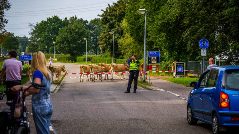 Omroep Brabant