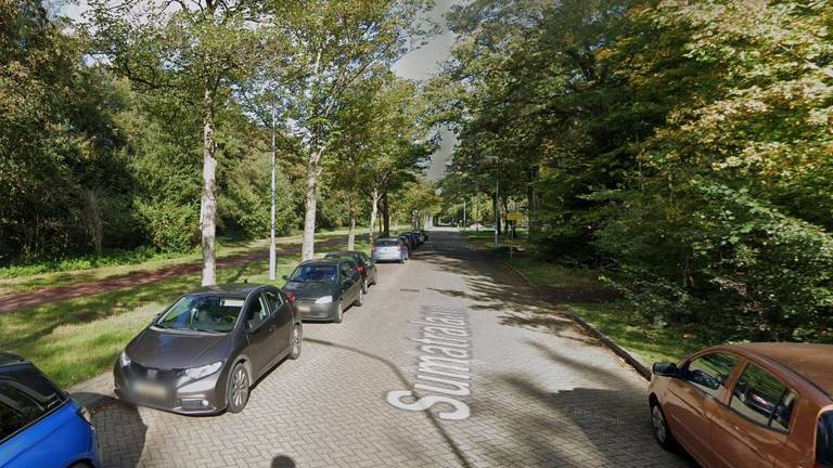 De Sumatralaan in Eindhoven (foto: Google Streetview).