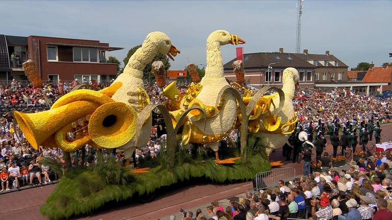 Kijk nu LIVE naar het Bloemencorso in Zundert