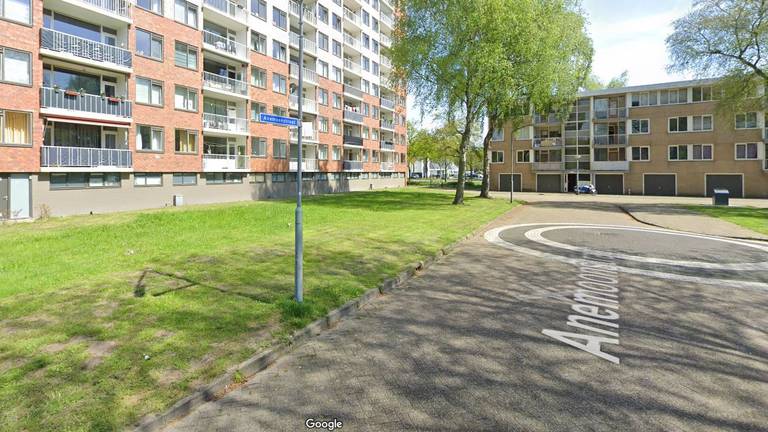 De Anemoonstraat in Oosterhout (foto: Google Streetview).