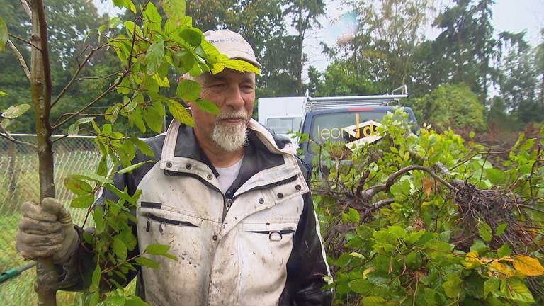 Struikrovers slaan hun slag om planten te redden van de bulldozer 