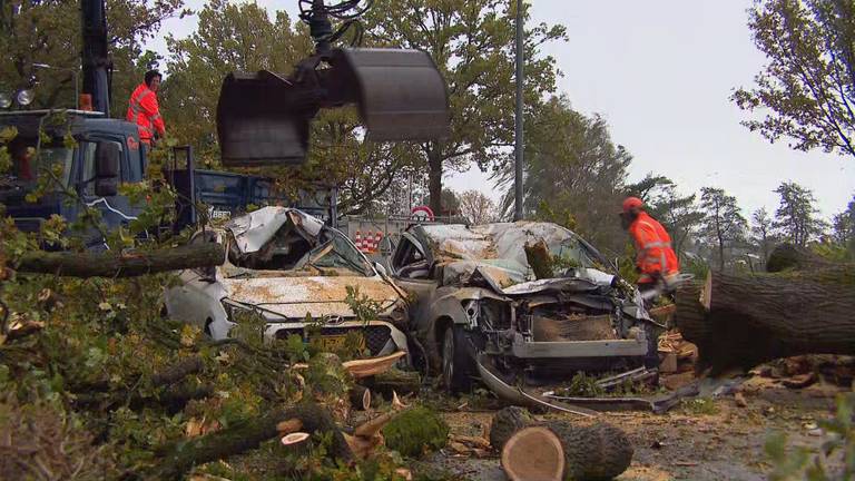 De boom viel op vier auto die compleet vernield werden (foto: Omroep Brabant)