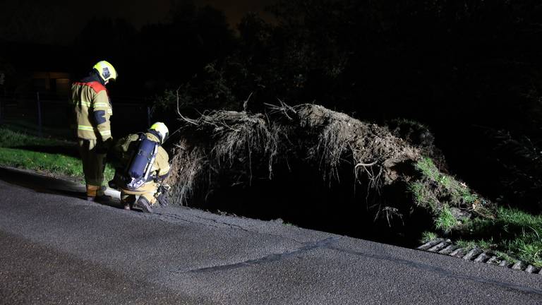 Auto rijdt tegen omgewaaide boom (foto: SQ Vision).